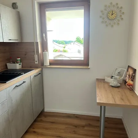 Design Mit Alpenblick Stadtnah - Ruhige Lage In - Naehe Bodensee Appartement *